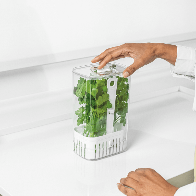 Organizador Pote para Temperos Frescos Clear Fresh 2,3 Litros