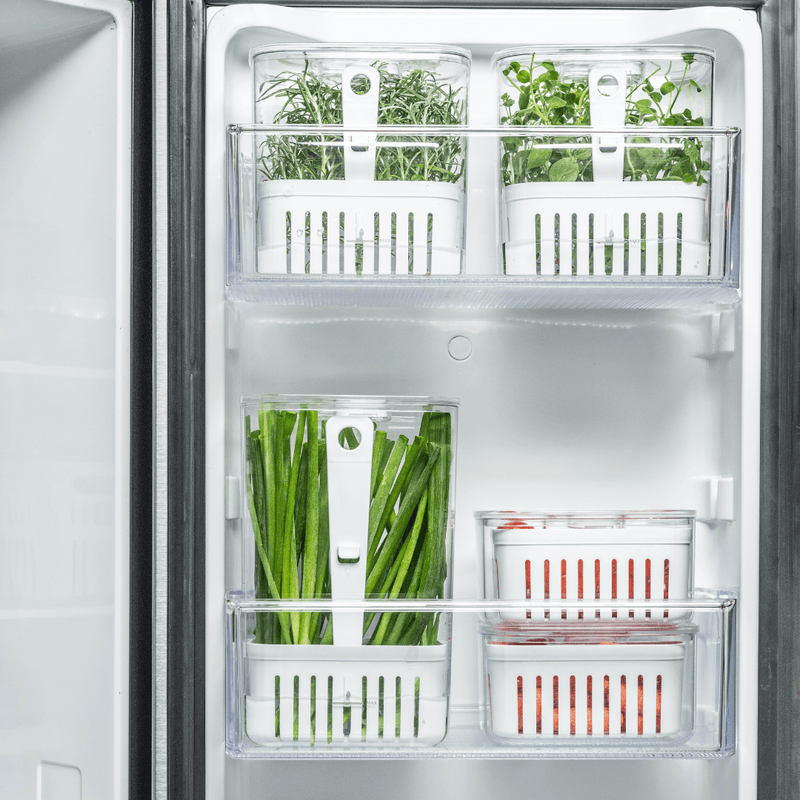 Organizador Pote para Temperos Frescos Clear Fresh 2,3 Litros